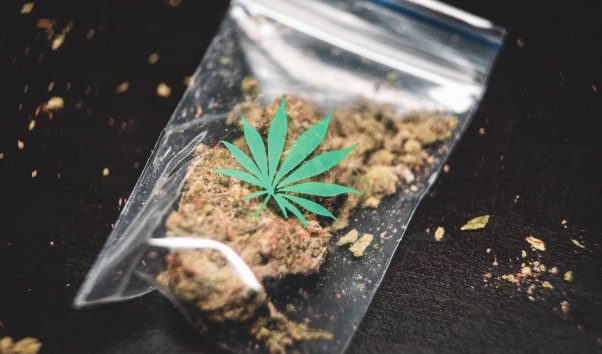 de alcaloide, enervantes o Marihuana