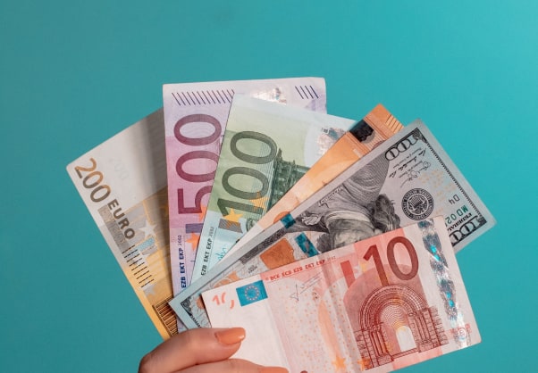 Ningún tipo de Papel Moneda, Moneda metálica, Metales Preciosos, Joyas, Riquezas naturales