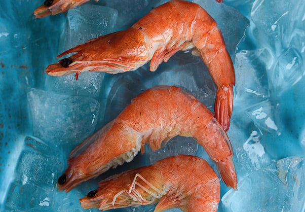 elemento proveniente del mar